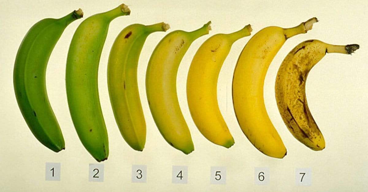 Health benefits of different kinds of bananas