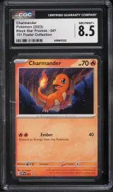 Charmander #047