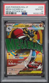 Mega Lucario ex #228