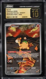 Numel #223
