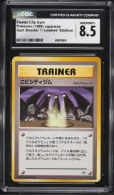 Pewter City Gym