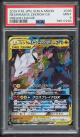 Reshiram & Zekrom GX #036