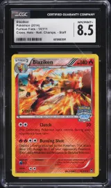 Blaziken #14