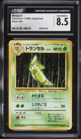 Metapod #11